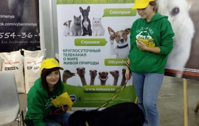 World Dog Show 2016